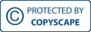 Website copyright intelligence monitoring